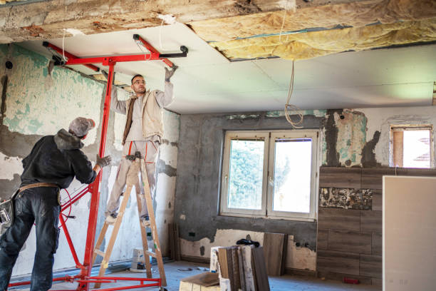 Best Insulation Maintenance and Repair in Greenville, SC